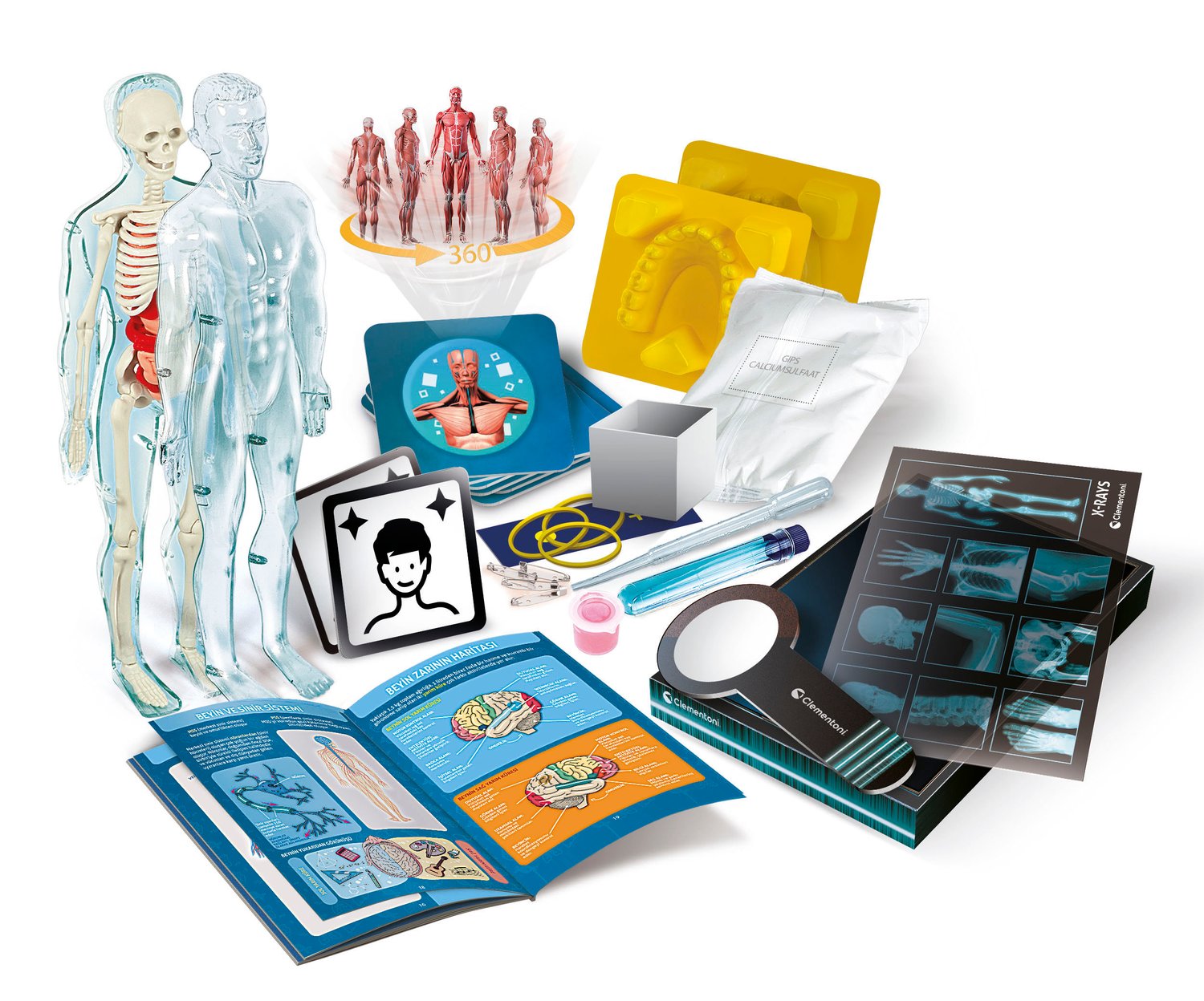 Clementoni Super Anatomy Science Kit