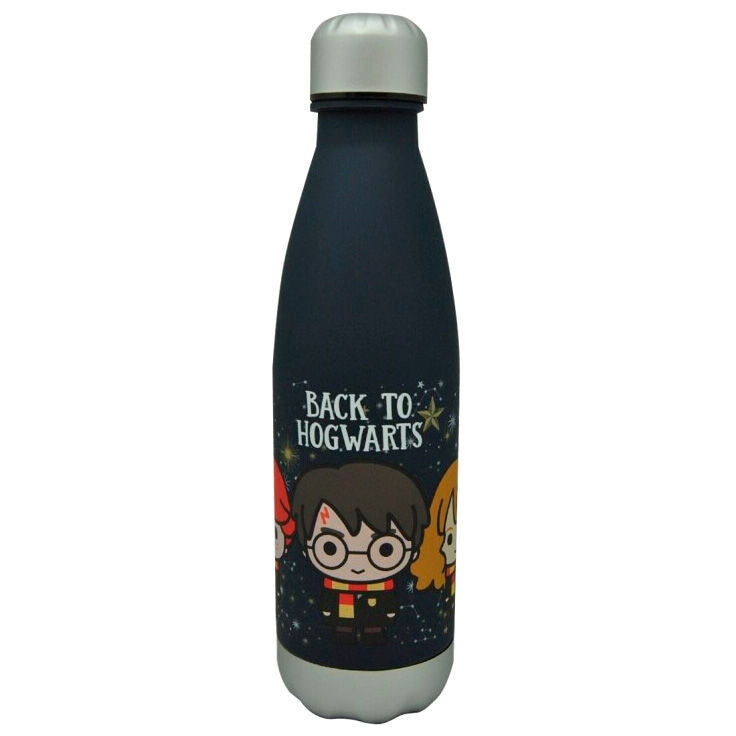 Hogwarts-tema 650 ml flaska för Harry Potter-fans