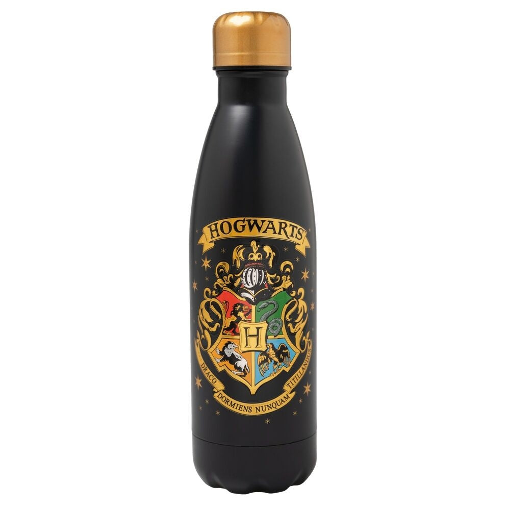 Hogwarts vattenflaska i rostfritt stål, 500 ml kapacitet