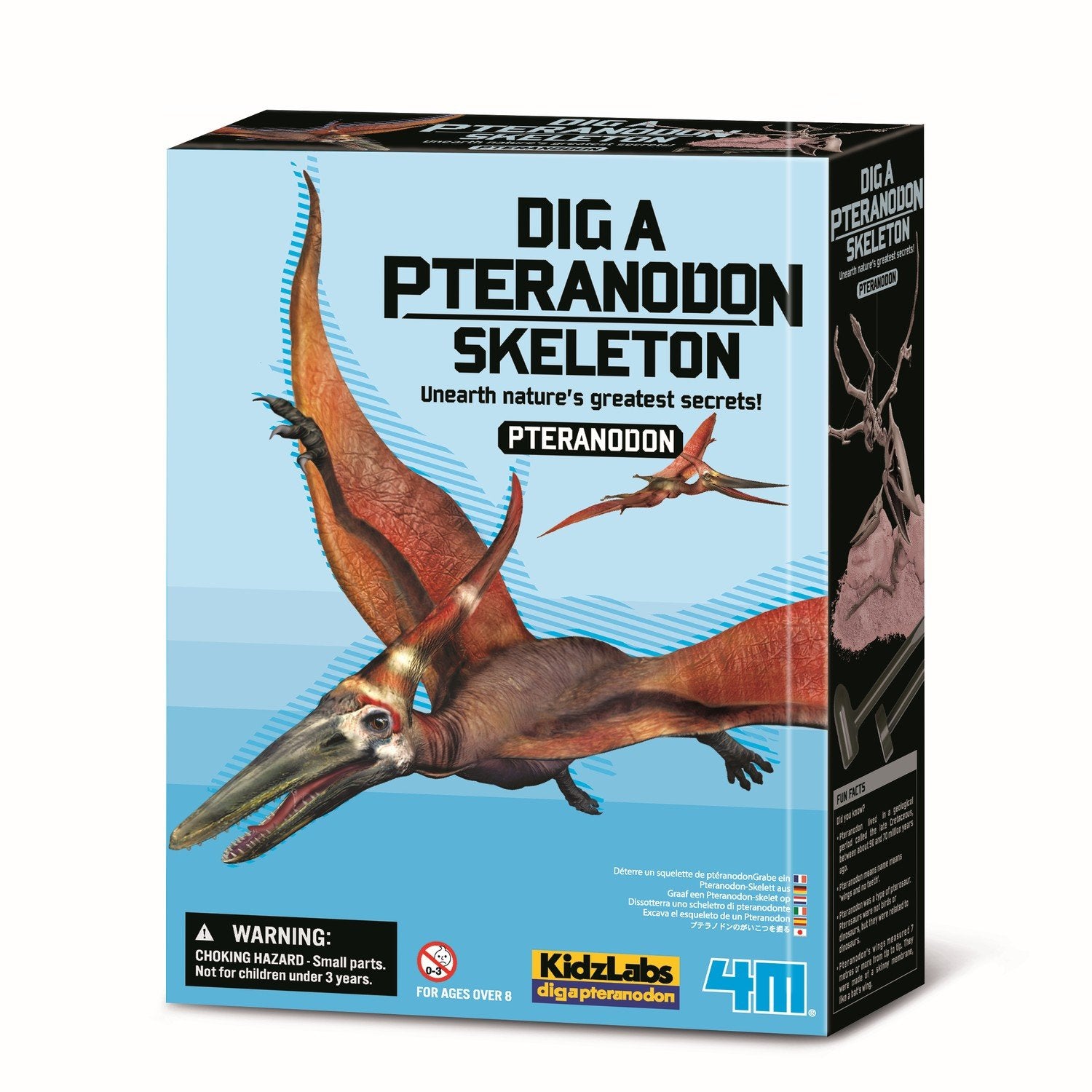 4M Craft Kit "Dig A Pteranodon Skeleton"