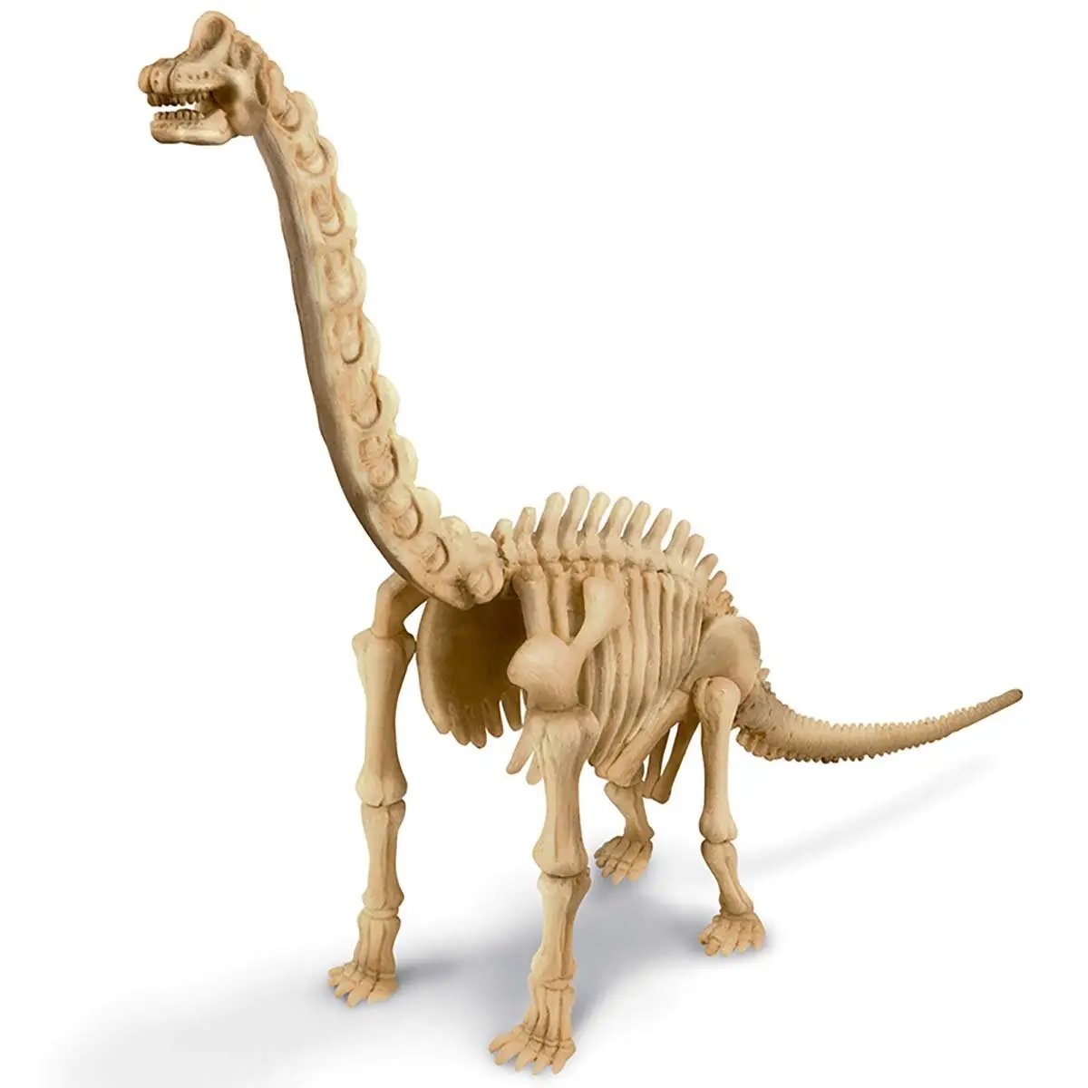 4M Kidzlabs Craft Kit "Brachiosaurus Skeleton"