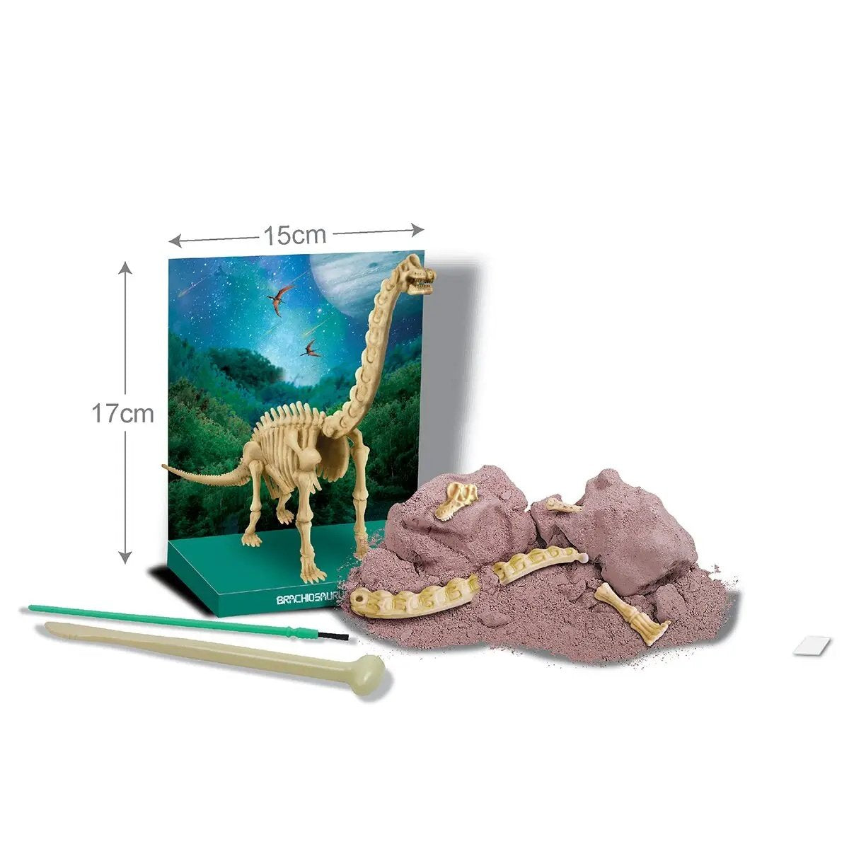 4M Kidzlabs Craft Kit "Brachiosaurus Skeleton"