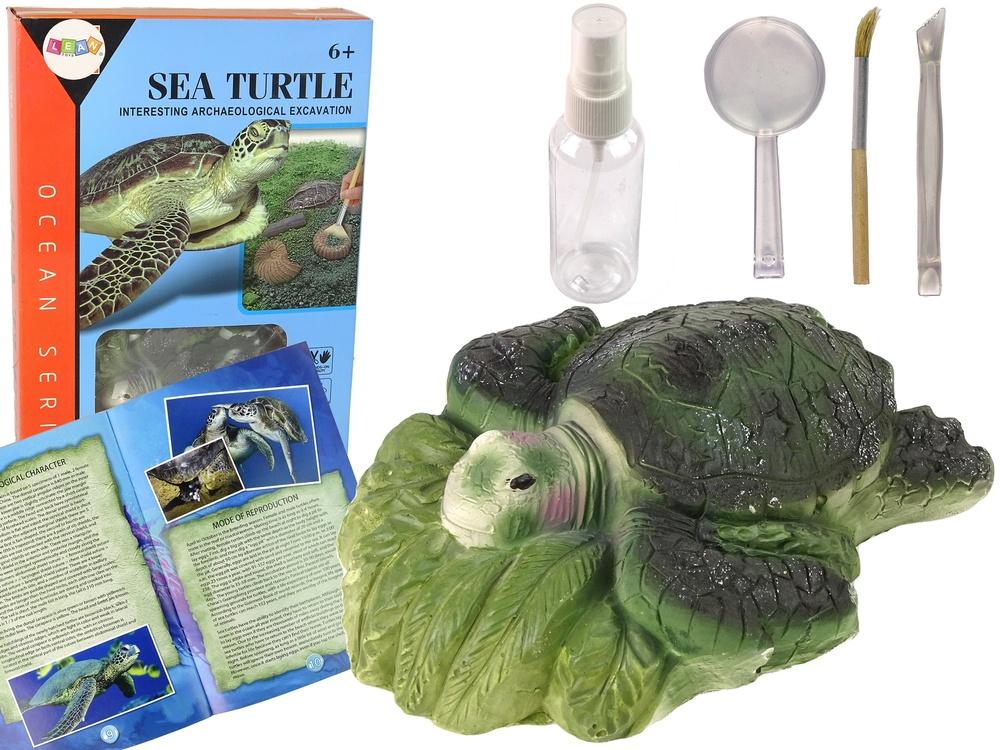 Ammonite Turtle Fossil Kit: Gräv och lär för barn 6+