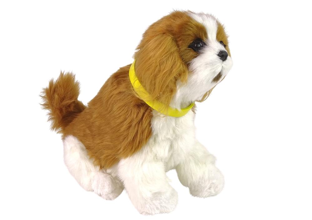 Cavalier Interactive Plush Dog: Myk, naturtro, morsom læringsleke