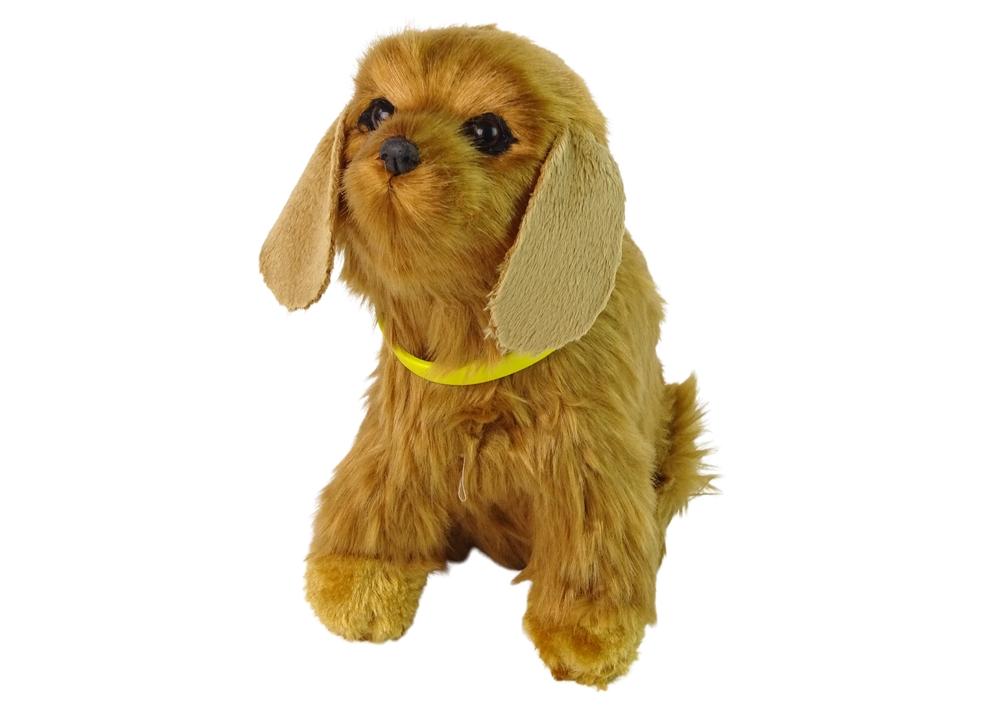 Cuddly Interactive Cocker Spaniel: Bark, Wag & Learn Fun!