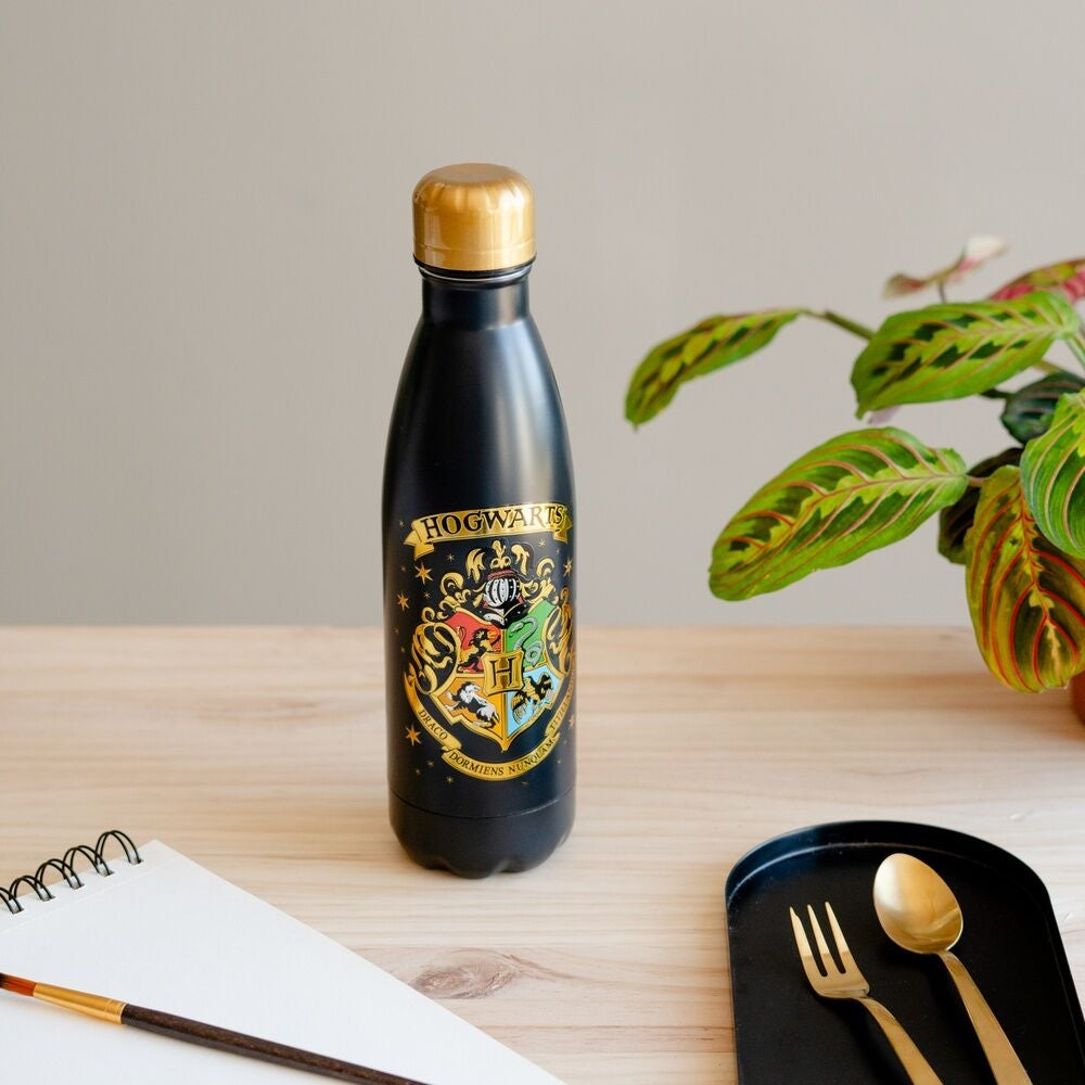 Hogwarts vattenflaska i rostfritt stål, 500 ml kapacitet
