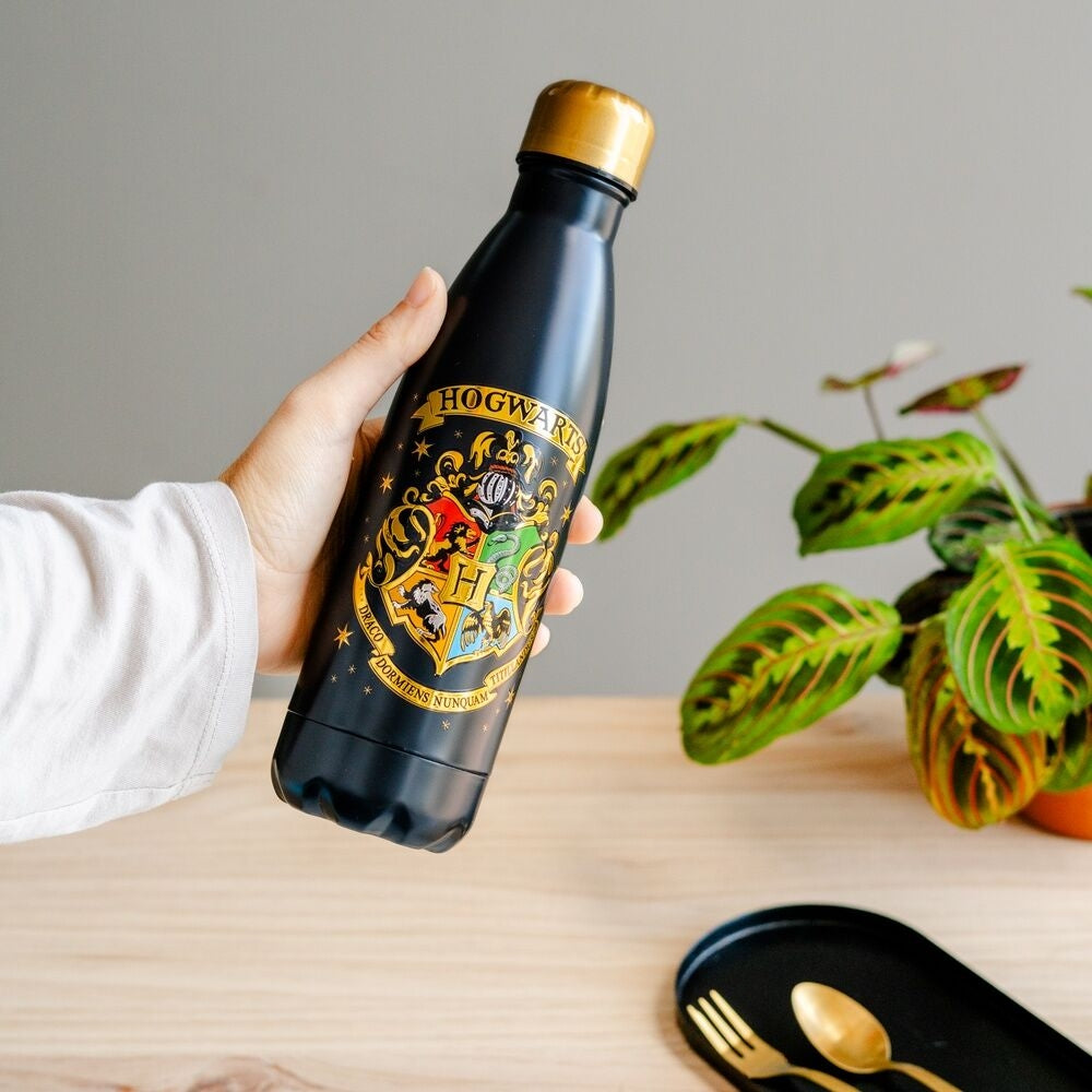 Hogwarts vattenflaska i rostfritt stål, 500 ml kapacitet