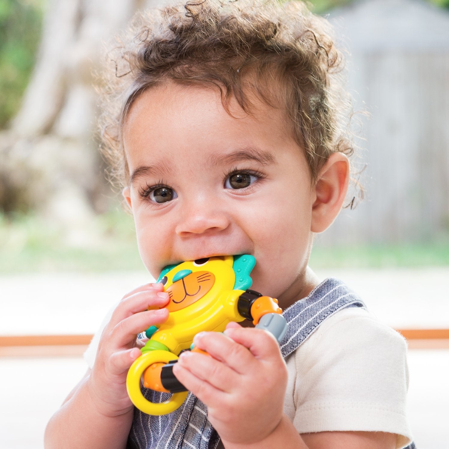 Infantino Rattle &amp; Teether Lion