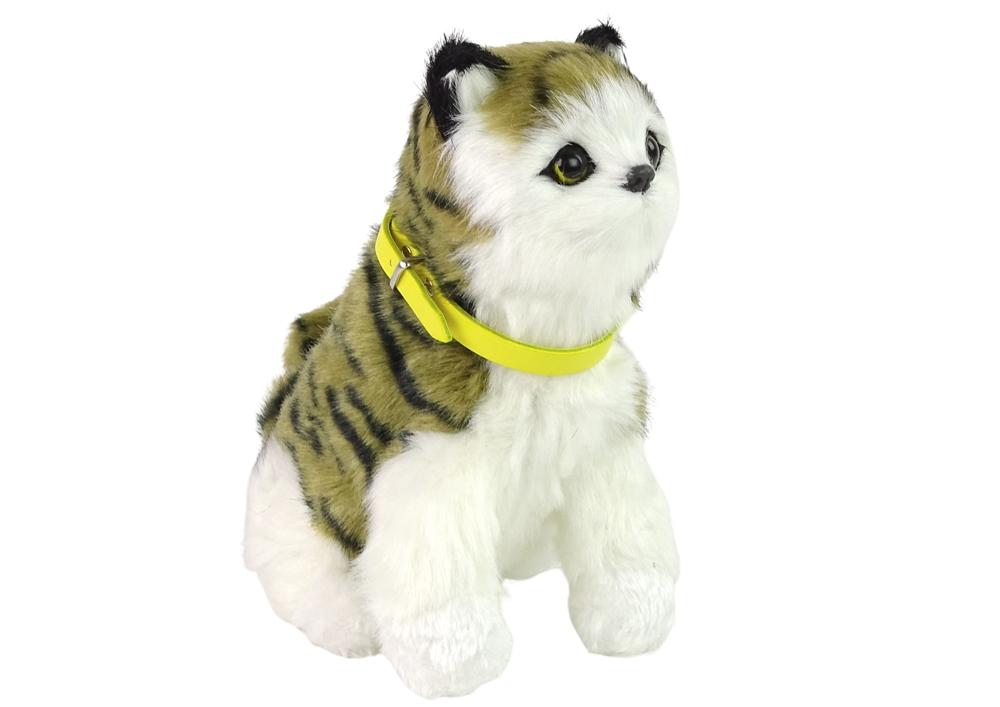 Interactive Plush Kitty: Soft Fur, Meows & Moves with a Stroke!