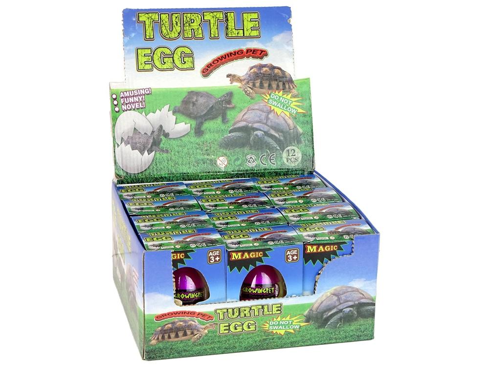 Magic Turtle Egg: Watch &amp; Learn Hatching Fun for Kids!