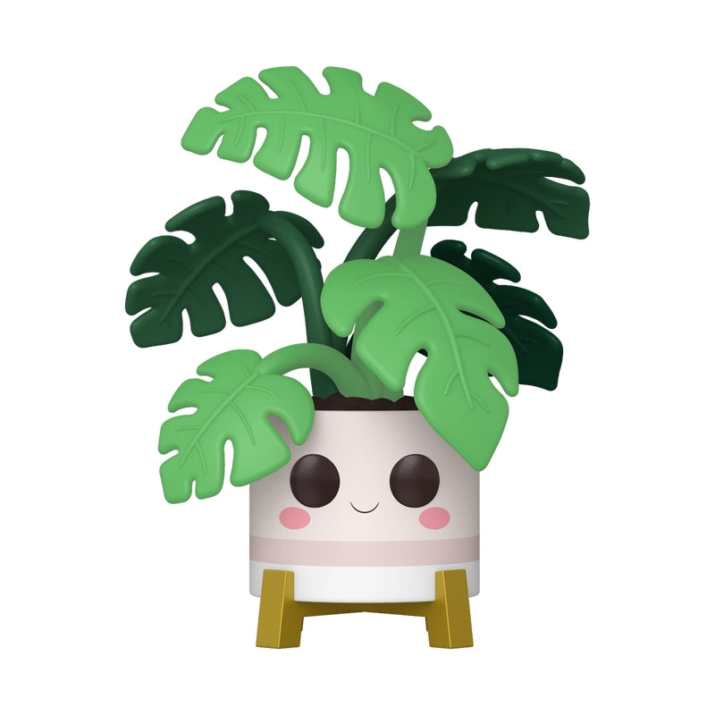 Monstera växt, levande krukväxt inomhus, 6-tums kruka