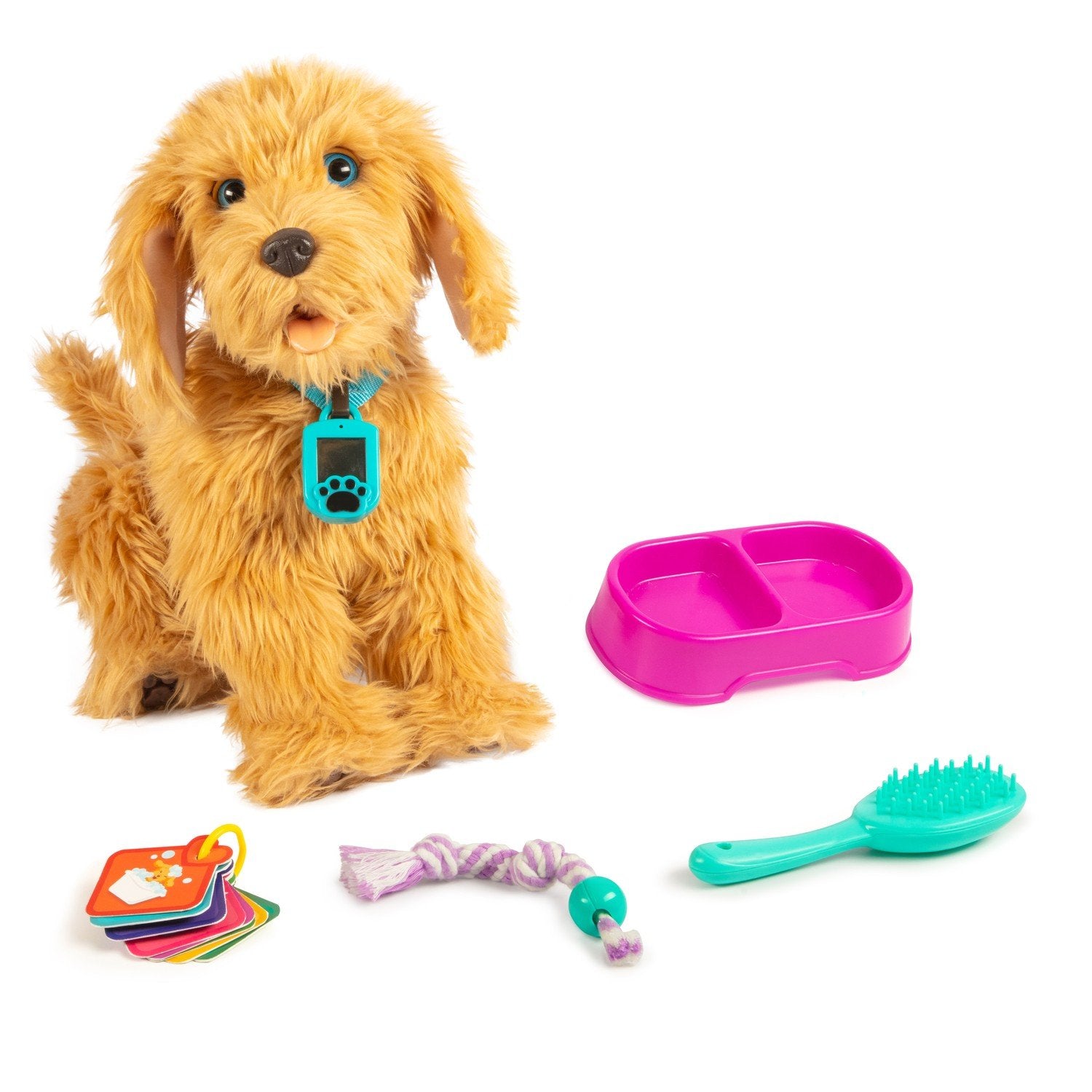 Min fuzzy ven Moji Labradoodle