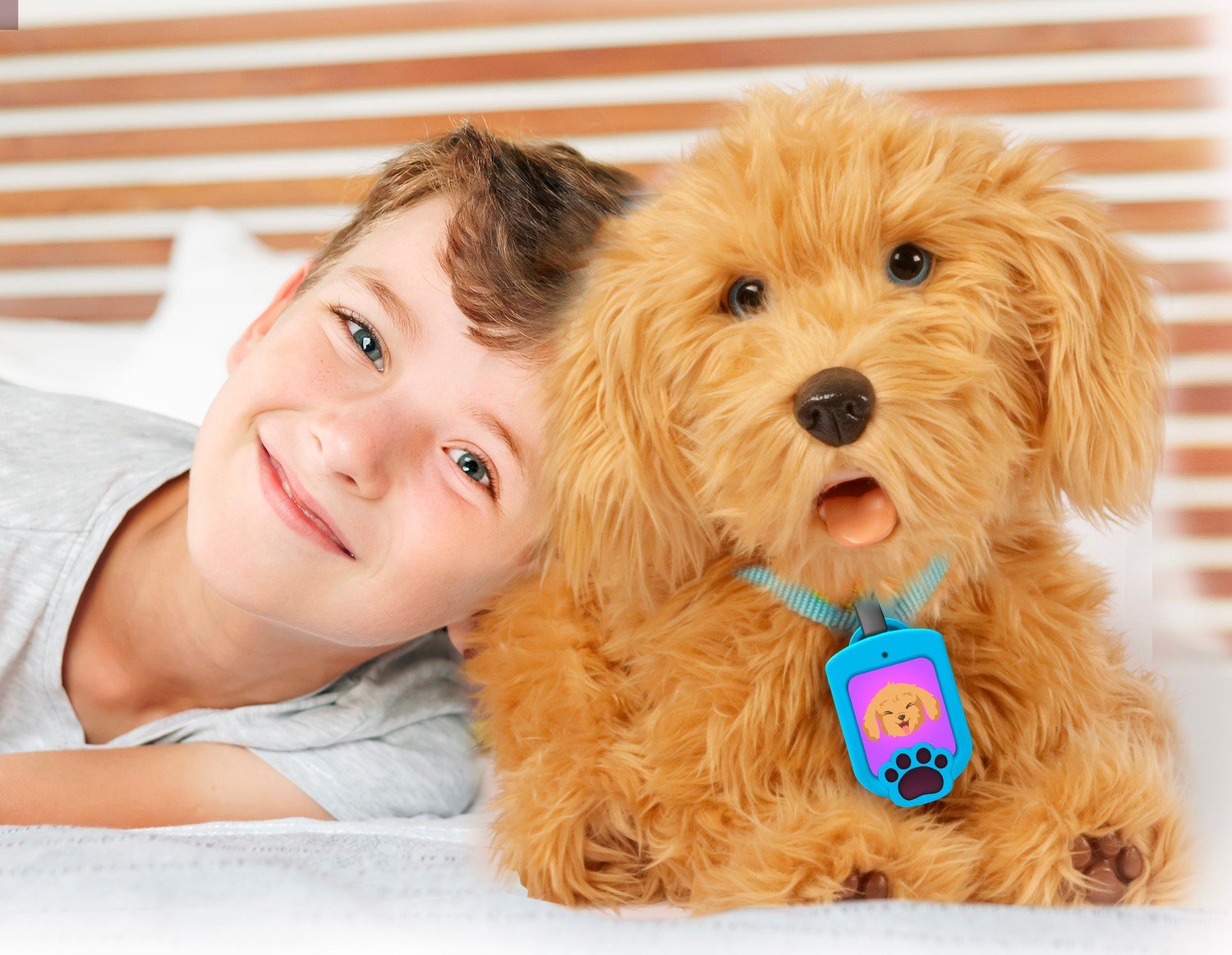 Min fuzzy ven Moji Labradoodle