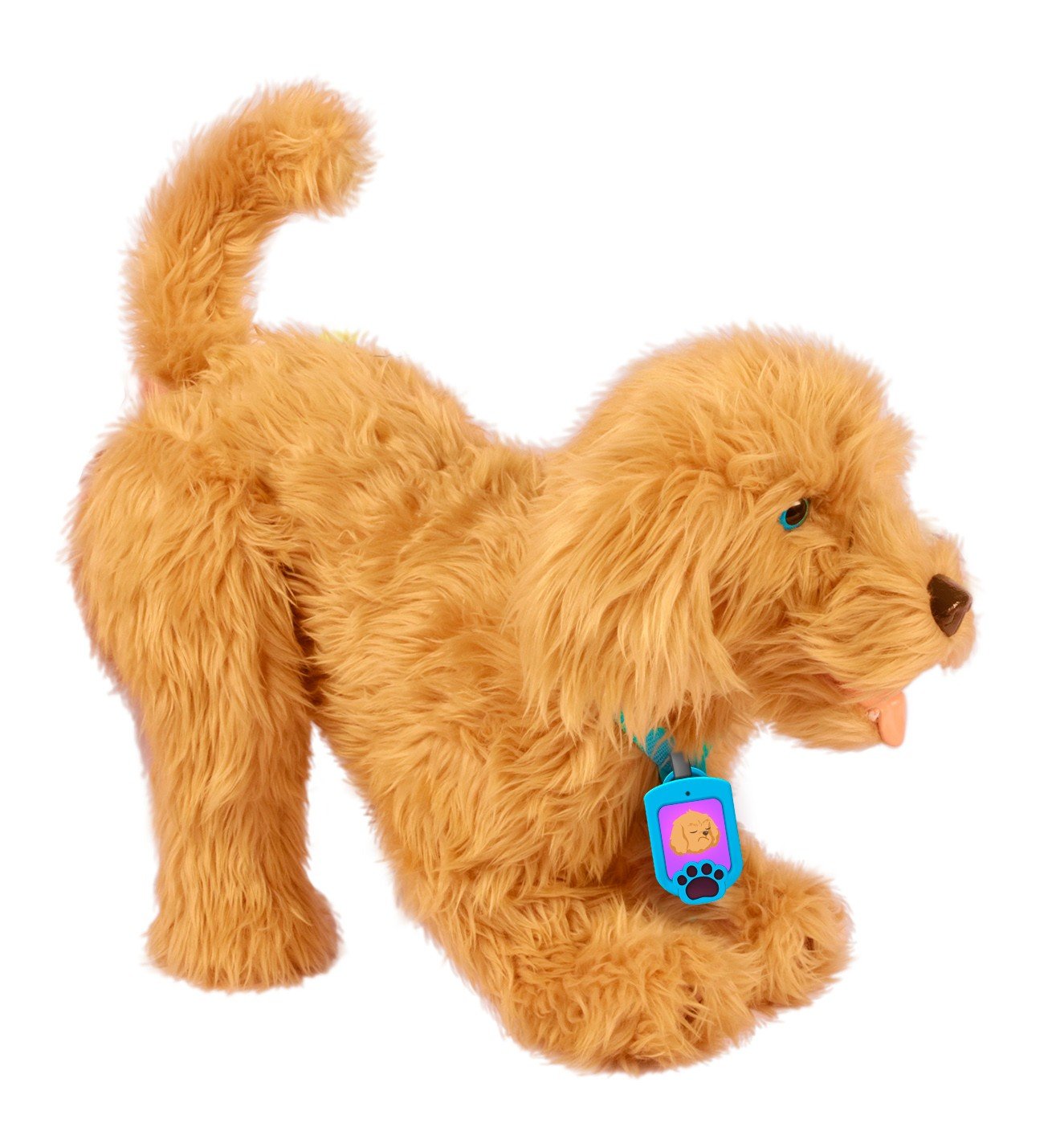 Min fuzzy ven Moji Labradoodle