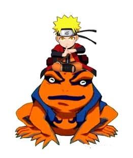 Naruto Shippuden Light Naruto och Gamakishi 20 cm