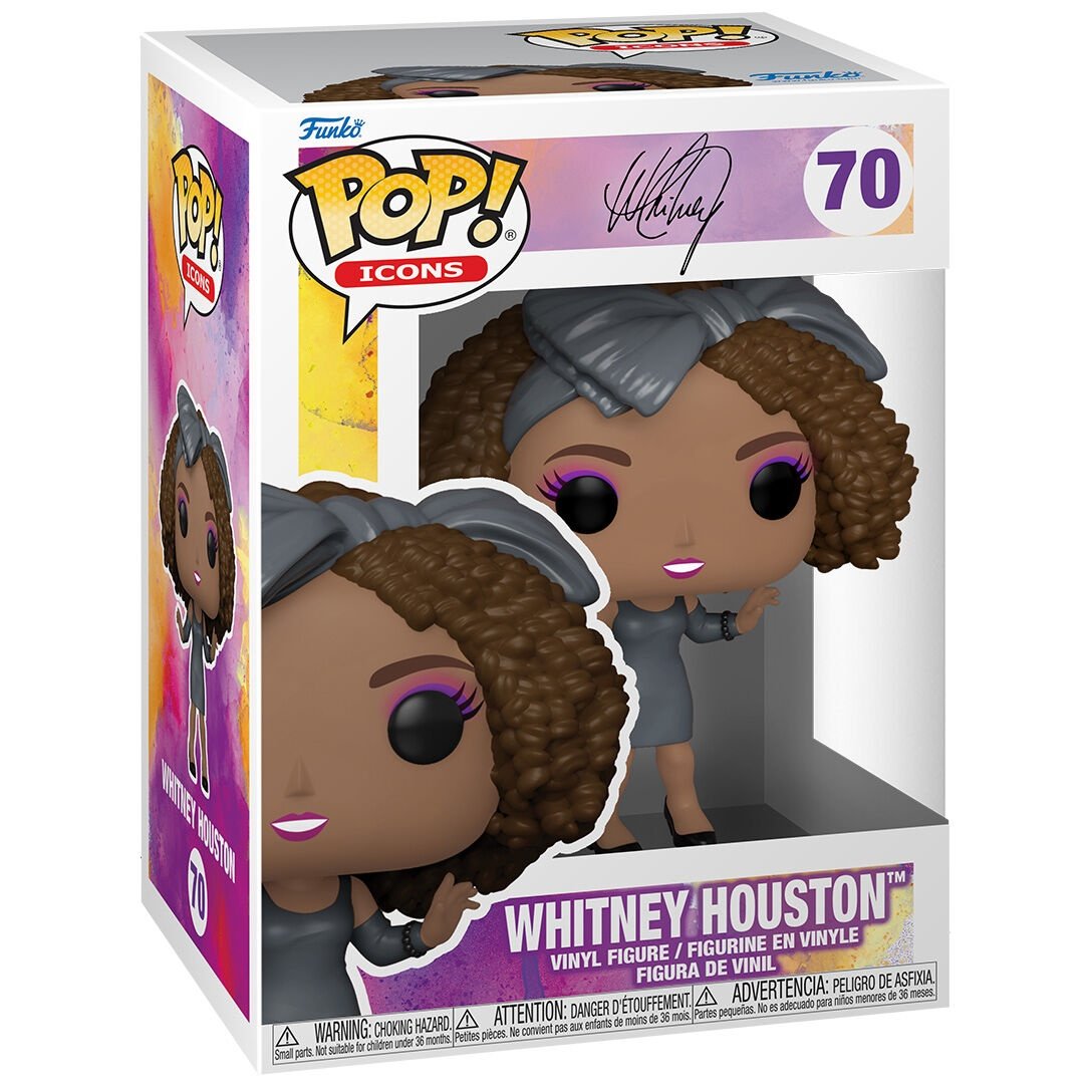 POP figur ikoner Whitney Houston