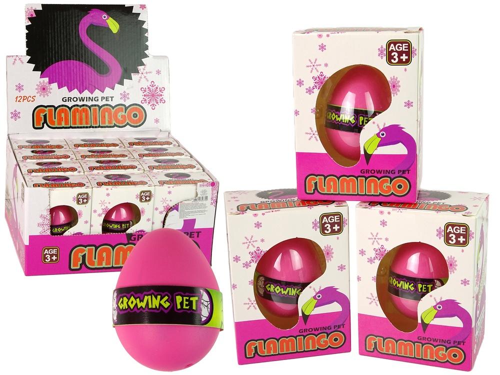 Pink Flamingo Egg: Se hur det kläcks och växer!