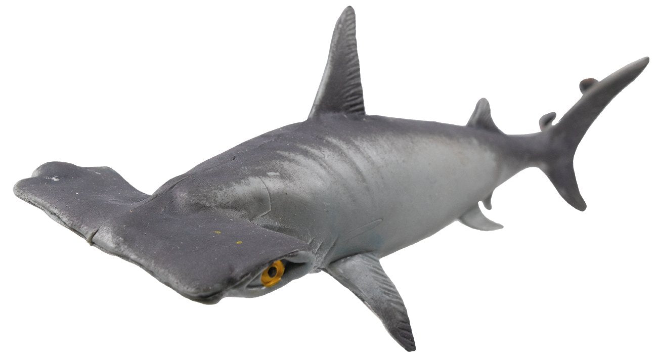 Rep Pals, Hammerhead Shark