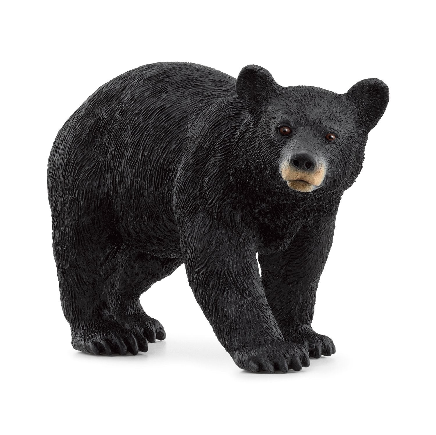 Schleich Wild Life American Black Bear