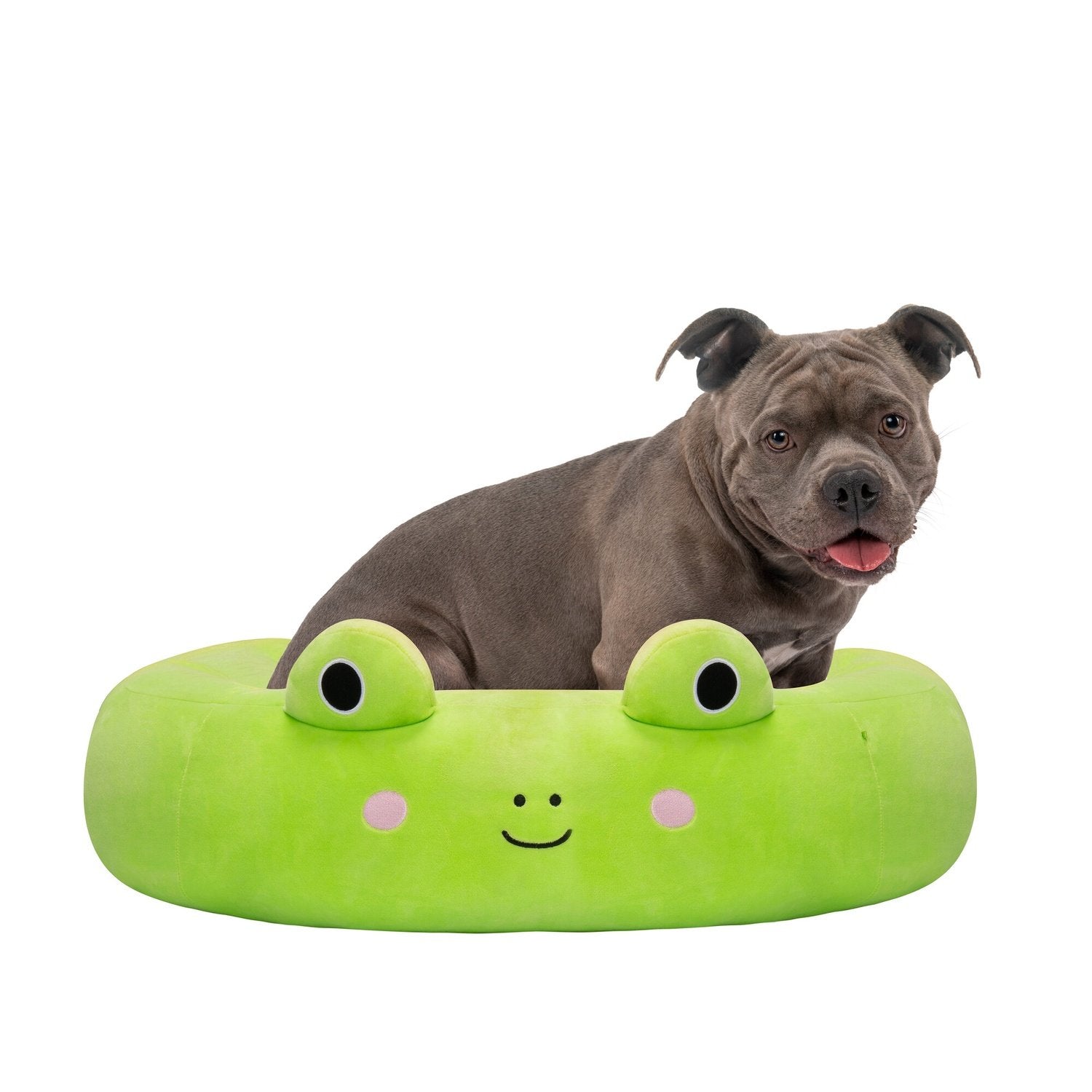 Squishmallows Pet Bed Wendy The Frog, 75 Cm